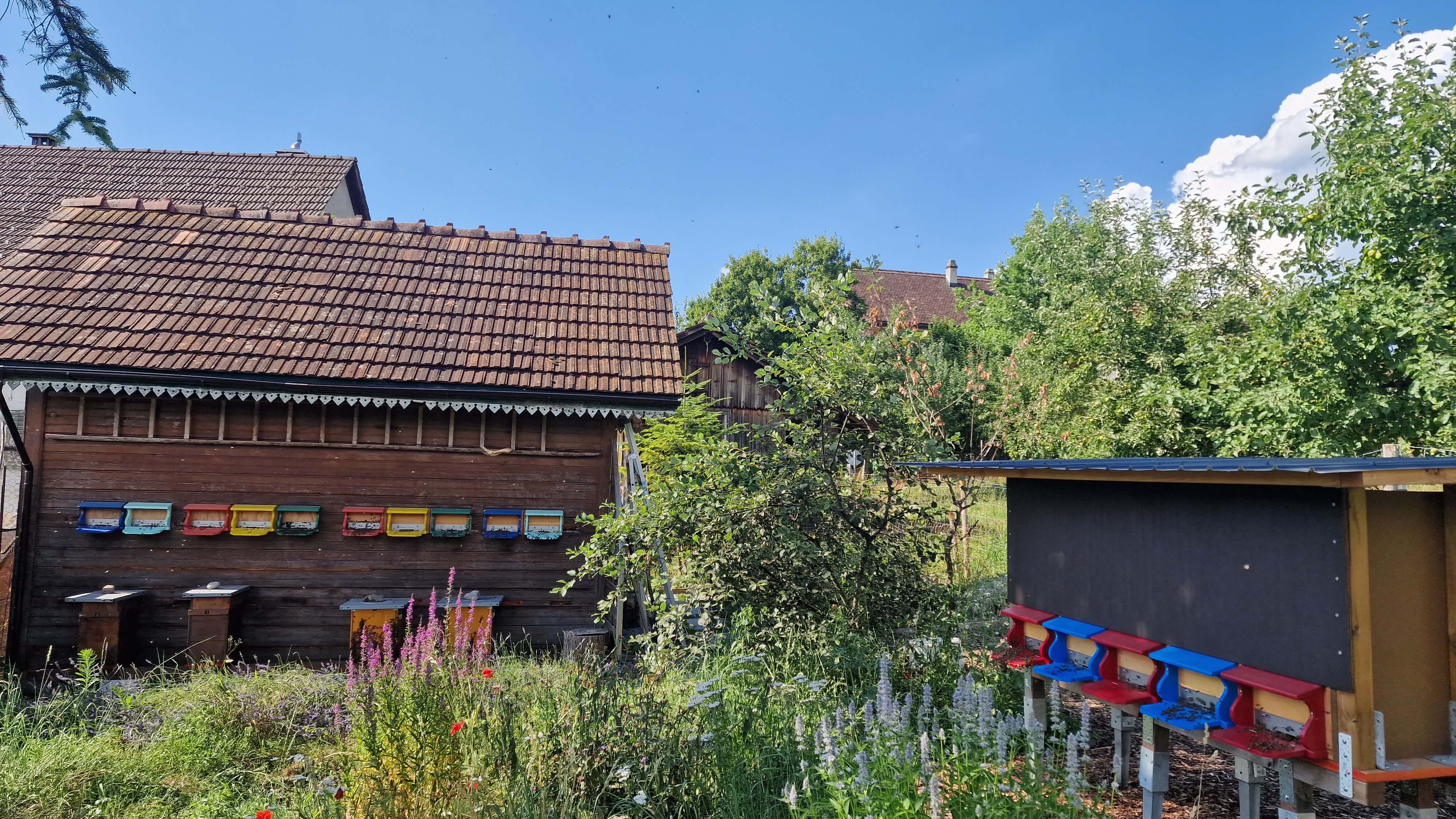 Unser Bienenhaus