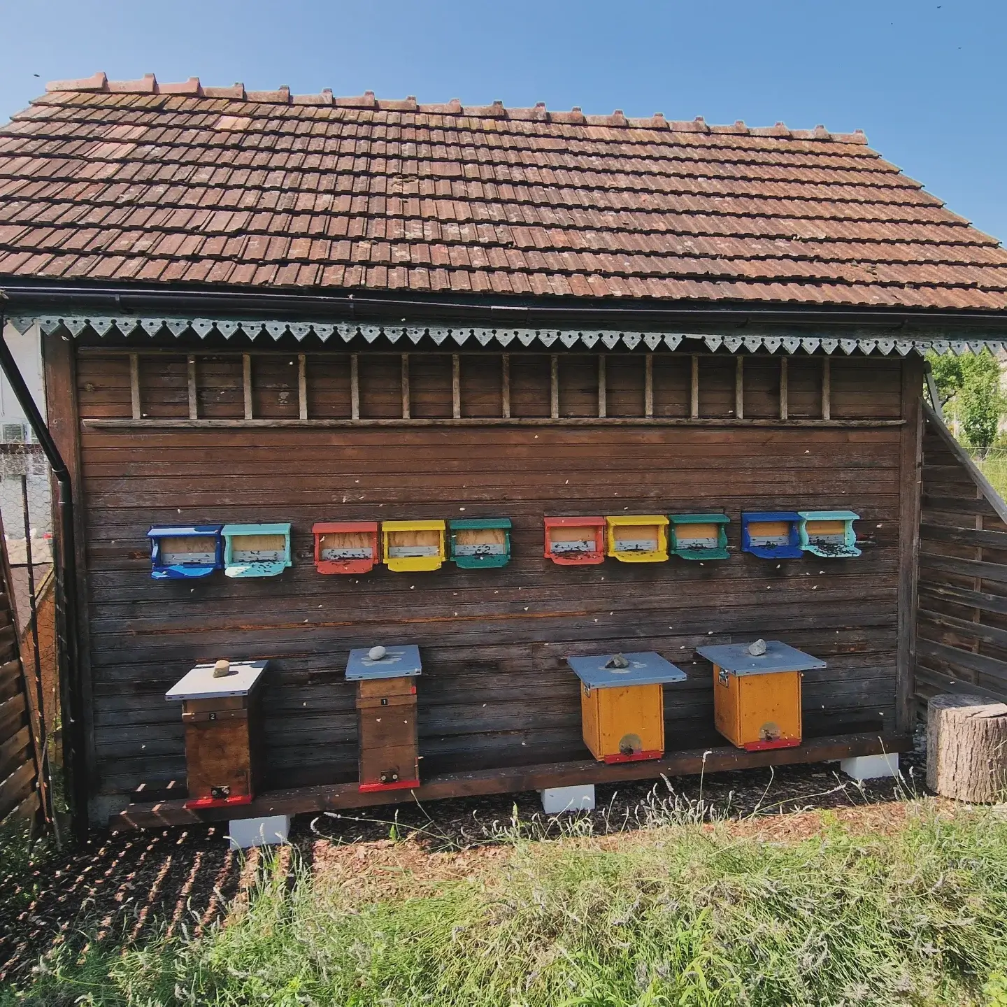 Imkerei Galerie