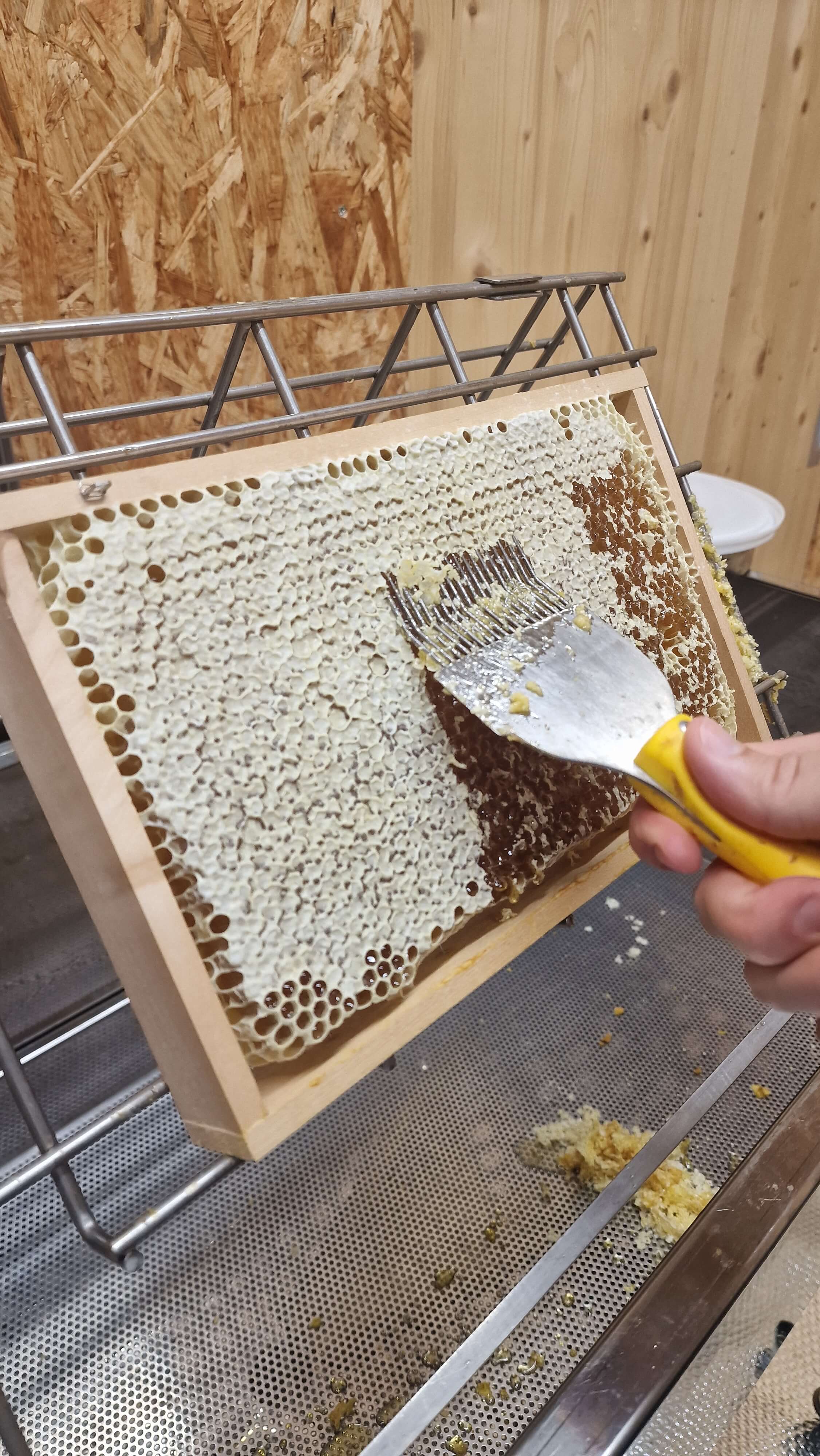 Honigproduktion